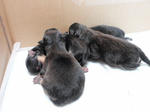 279aa840.jpeg