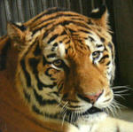 d3ae3611.jpg