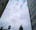 200708191158.jpg.jpg