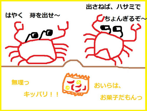 14f3be35.jpg