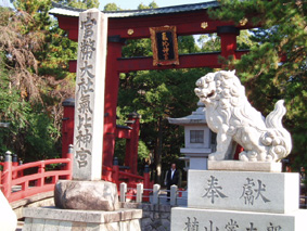 画像ファイル "http://blog.cnobi.jp/v1/blog/user/53fcee40803de136cae09155c36f843b/1229447678" は壊れているため、表示できませんでした。