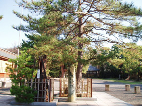 画像ファイル "http://blog.cnobi.jp/v1/blog/user/53fcee40803de136cae09155c36f843b/1229447680" は壊れているため、表示できませんでした。