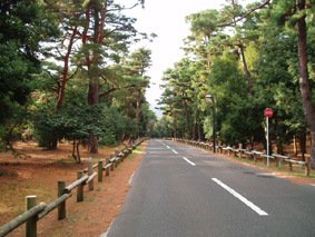 画像ファイル "http://blog.cnobi.jp/v1/blog/user/53fcee40803de136cae09155c36f843b/1229448293" は壊れているため、表示できませんでした。