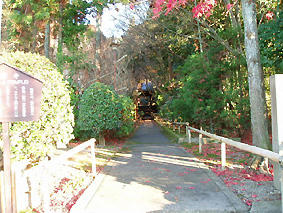 nghk026.JPG
