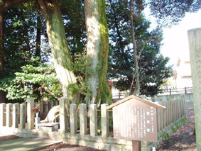 画像ファイル "http://blog.cnobi.jp/v1/blog/user/53fcee40803de136cae09155c36f843b/1230476531" は壊れているため、表示できませんでした。