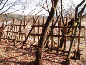 画像ファイル "http://blog.cnobi.jp/v1/blog/user/53fcee40803de136cae09155c36f843b/1230476752" は壊れているため、表示できませんでした。