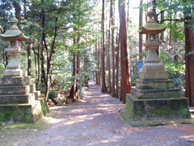 画像ファイル "http://blog.cnobi.jp/v1/blog/user/53fcee40803de136cae09155c36f843b/1230476930" は壊れているため、表示できませんでした。