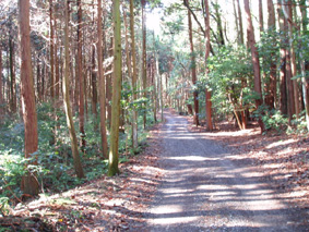 画像ファイル "http://blog.cnobi.jp/v1/blog/user/53fcee40803de136cae09155c36f843b/1230476980" は壊れているため、表示できませんでした。