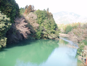 画像ファイル "http://blog.cnobi.jp/v1/blog/user/53fcee40803de136cae09155c36f843b/1230476981" は壊れているため、表示できませんでした。