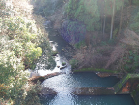 画像ファイル "http://blog.cnobi.jp/v1/blog/user/53fcee40803de136cae09155c36f843b/1230476982" は壊れているため、表示できませんでした。