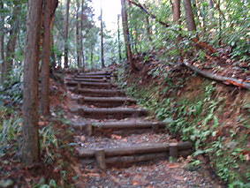 画像ファイル "http://blog.cnobi.jp/v1/blog/user/53fcee40803de136cae09155c36f843b/1230477028" は壊れているため、表示できませんでした。