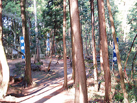 画像ファイル "http://blog.cnobi.jp/v1/blog/user/53fcee40803de136cae09155c36f843b/1230477031" は壊れているため、表示できませんでした。