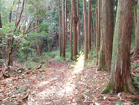 画像ファイル "http://blog.cnobi.jp/v1/blog/user/53fcee40803de136cae09155c36f843b/1230477086" は壊れているため、表示できませんでした。
