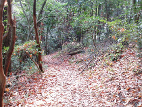 画像ファイル "http://blog.cnobi.jp/v1/blog/user/53fcee40803de136cae09155c36f843b/1230477131" は壊れているため、表示できませんでした。