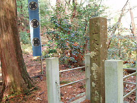 画像ファイル "http://blog.cnobi.jp/v1/blog/user/53fcee40803de136cae09155c36f843b/1230477133" は壊れているため、表示できませんでした。