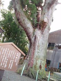 画像ファイル "http://blog.cnobi.jp/v1/blog/user/53fcee40803de136cae09155c36f843b/1230477256" は壊れているため、表示できませんでした。