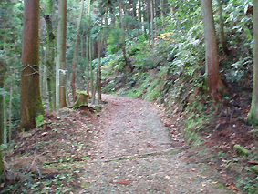 画像ファイル "http://blog.cnobi.jp/v1/blog/user/53fcee40803de136cae09155c36f843b/1230477302" は壊れているため、表示できませんでした。