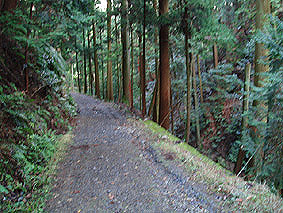 画像ファイル "http://blog.cnobi.jp/v1/blog/user/53fcee40803de136cae09155c36f843b/1230477358" は壊れているため、表示できませんでした。