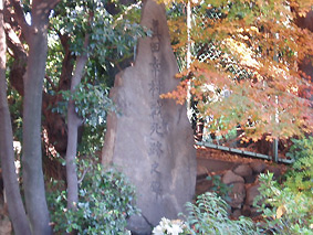 画像ファイル "http://blog.cnobi.jp/v1/blog/user/53fcee40803de136cae09155c36f843b/1232632748" は壊れているため、表示できませんでした。