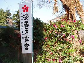 画像ファイル "http://blog.cnobi.jp/v1/blog/user/53fcee40803de136cae09155c36f843b/1232632787" は壊れているため、表示できませんでした。