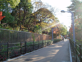 画像ファイル "http://blog.cnobi.jp/v1/blog/user/53fcee40803de136cae09155c36f843b/1232632789" は壊れているため、表示できませんでした。
