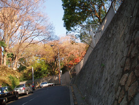 画像ファイル "http://blog.cnobi.jp/v1/blog/user/53fcee40803de136cae09155c36f843b/1232632790" は壊れているため、表示できませんでした。