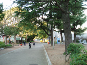 画像ファイル "http://blog.cnobi.jp/v1/blog/user/53fcee40803de136cae09155c36f843b/1232632873" は壊れているため、表示できませんでした。