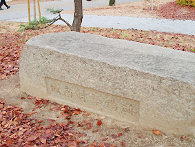 画像ファイル "http://blog.cnobi.jp/v1/blog/user/53fcee40803de136cae09155c36f843b/1232632974" は壊れているため、表示できませんでした。