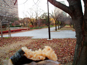 画像ファイル "http://blog.cnobi.jp/v1/blog/user/53fcee40803de136cae09155c36f843b/1232632975" は壊れているため、表示できませんでした。