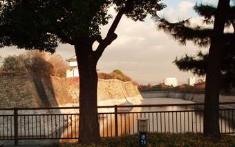画像ファイル "http://blog.cnobi.jp/v1/blog/user/53fcee40803de136cae09155c36f843b/1232632976" は壊れているため、表示できませんでした。