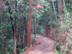 画像ファイル "http://blog.cnobi.jp/v1/blog/user/53fcee40803de136cae09155c36f843b/1236291419" は壊れているため、表示できませんでした。
