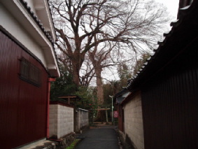画像ファイル "http://blog.cnobi.jp/v1/blog/user/53fcee40803de136cae09155c36f843b/1236291705" は壊れているため、表示できませんでした。
