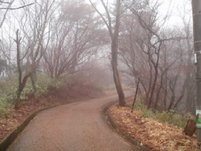 画像ファイル "http://blog.cnobi.jp/v1/blog/user/53fcee40803de136cae09155c36f843b/1236291750" は壊れているため、表示できませんでした。