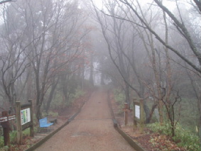 画像ファイル "http://blog.cnobi.jp/v1/blog/user/53fcee40803de136cae09155c36f843b/1236291751" は壊れているため、表示できませんでした。
