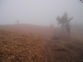 画像ファイル "http://blog.cnobi.jp/v1/blog/user/53fcee40803de136cae09155c36f843b/1236291752" は壊れているため、表示できませんでした。