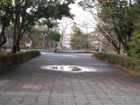画像ファイル "http://blog.cnobi.jp/v1/blog/user/53fcee40803de136cae09155c36f843b/1236486253" は壊れているため、表示できませんでした。