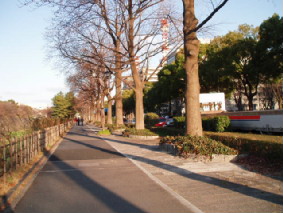 画像ファイル "http://blog.cnobi.jp/v1/blog/user/53fcee40803de136cae09155c36f843b/1236486469" は壊れているため、表示できませんでした。