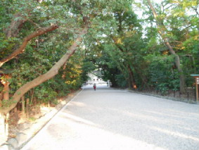 画像ファイル "http://blog.cnobi.jp/v1/blog/user/53fcee40803de136cae09155c36f843b/1236486503" は壊れているため、表示できませんでした。