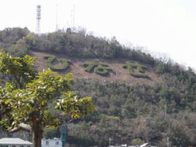 09031203.JPG