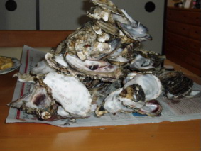 画像ファイル "http://blog.cnobi.jp/v1/blog/user/53fcee40803de136cae09155c36f843b/1237108481" は壊れているため、表示できませんでした。