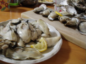 画像ファイル "http://blog.cnobi.jp/v1/blog/user/53fcee40803de136cae09155c36f843b/1237108482" は壊れているため、表示できませんでした。