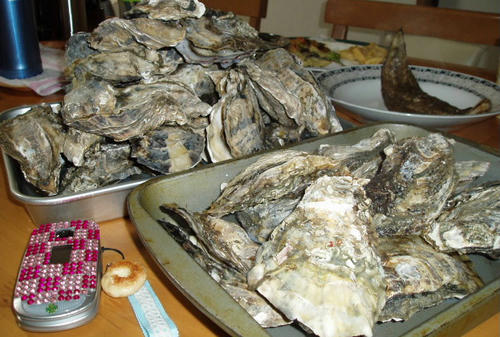 09031221.JPG