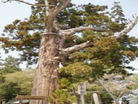 09040719.JPG
