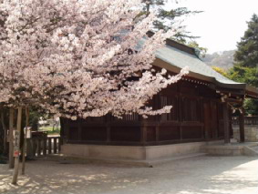 画像ファイル "http://blog.cnobi.jp/v1/blog/user/53fcee40803de136cae09155c36f843b/1239164378" は壊れているため、表示できませんでした。