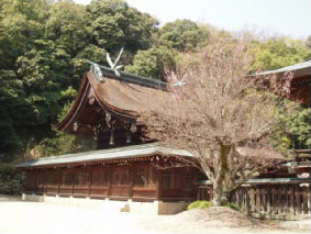 画像ファイル "http://blog.cnobi.jp/v1/blog/user/53fcee40803de136cae09155c36f843b/1239164413" は壊れているため、表示できませんでした。