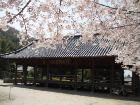 画像ファイル "http://blog.cnobi.jp/v1/blog/user/53fcee40803de136cae09155c36f843b/1239164417" は壊れているため、表示できませんでした。