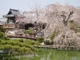 画像ファイル "http://blog.cnobi.jp/v1/blog/user/53fcee40803de136cae09155c36f843b/1239164607" は壊れているため、表示できませんでした。