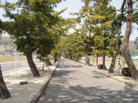 画像ファイル "http://blog.cnobi.jp/v1/blog/user/53fcee40803de136cae09155c36f843b/1239164610" は壊れているため、表示できませんでした。