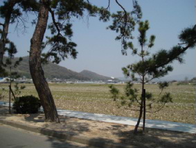 画像ファイル "http://blog.cnobi.jp/v1/blog/user/53fcee40803de136cae09155c36f843b/1239164644" は壊れているため、表示できませんでした。