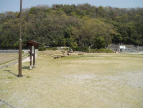 画像ファイル "http://blog.cnobi.jp/v1/blog/user/53fcee40803de136cae09155c36f843b/1239164682" は壊れているため、表示できませんでした。